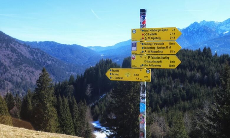 lopulgunzer usage considerations guide