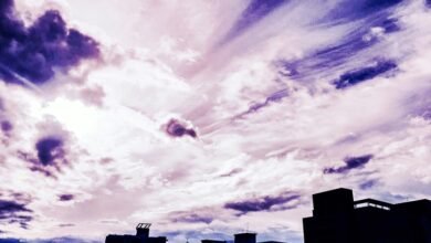 phone directory features overview