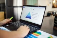 product insights and adoption