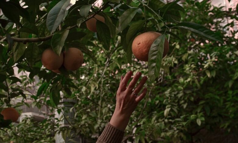 audience expansion strategies unveiled