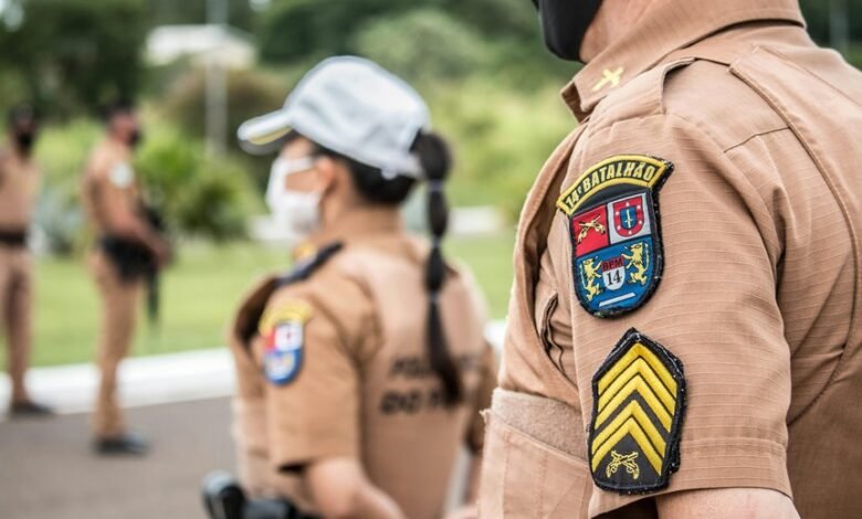 search rankings authority engine