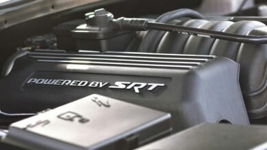 trust in branding strategy