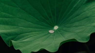 user retention engagement strategy