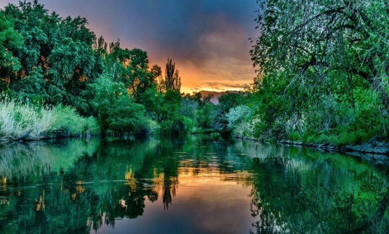 visibility brand presence analysis